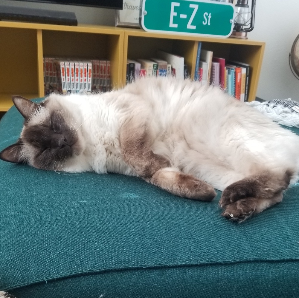 Meet your Posher, Eleanor